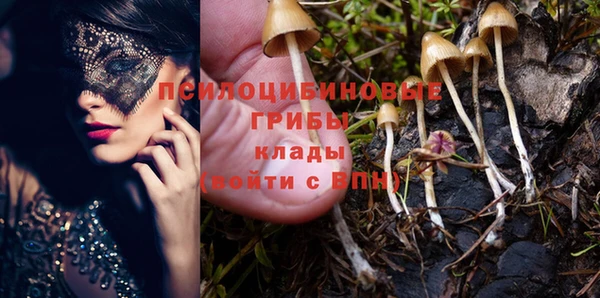 прущая мука Каменск-Шахтинский